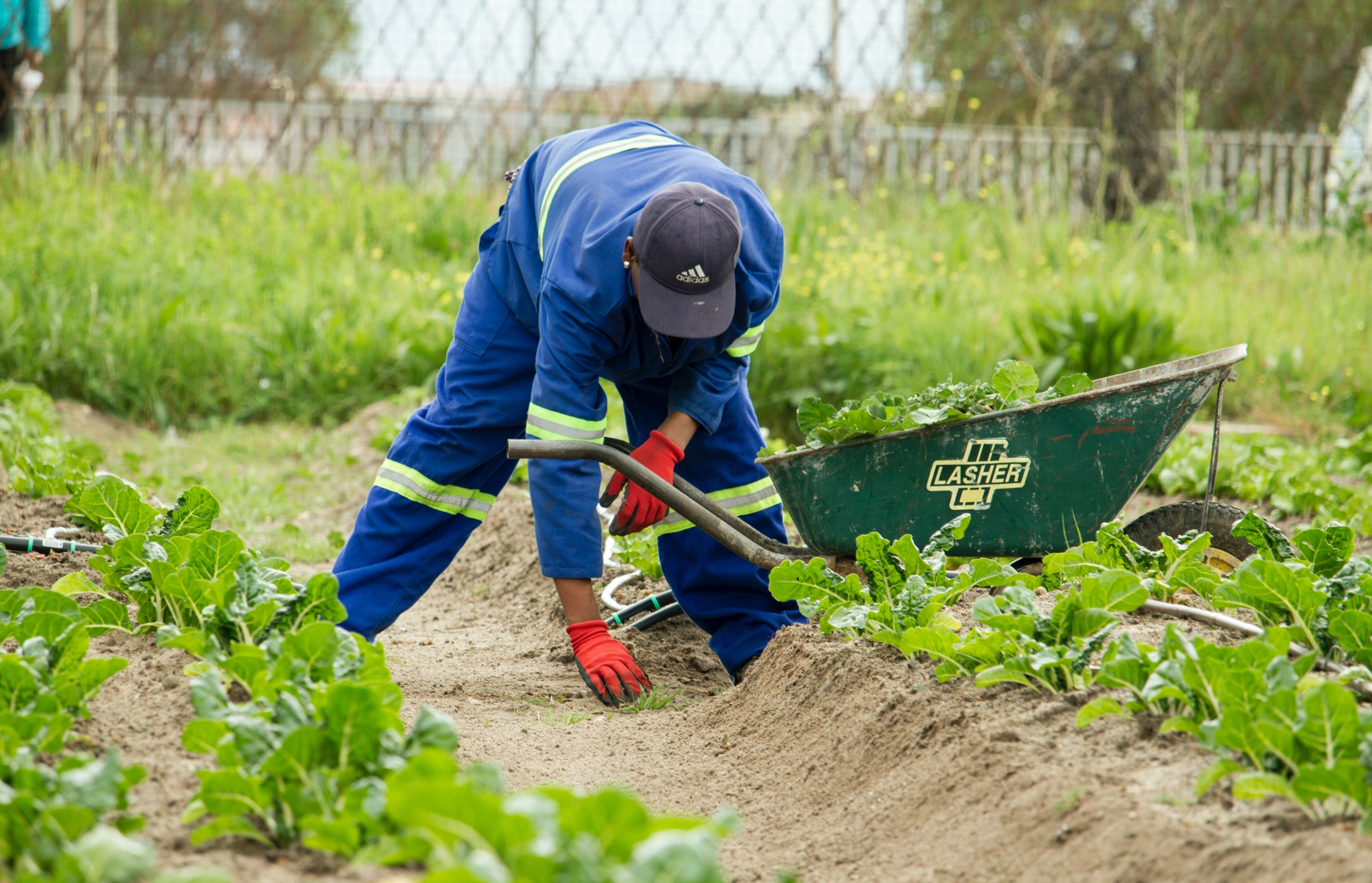 Gardener